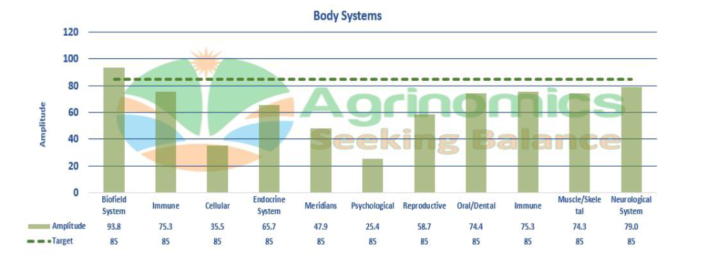 body-systems no.1